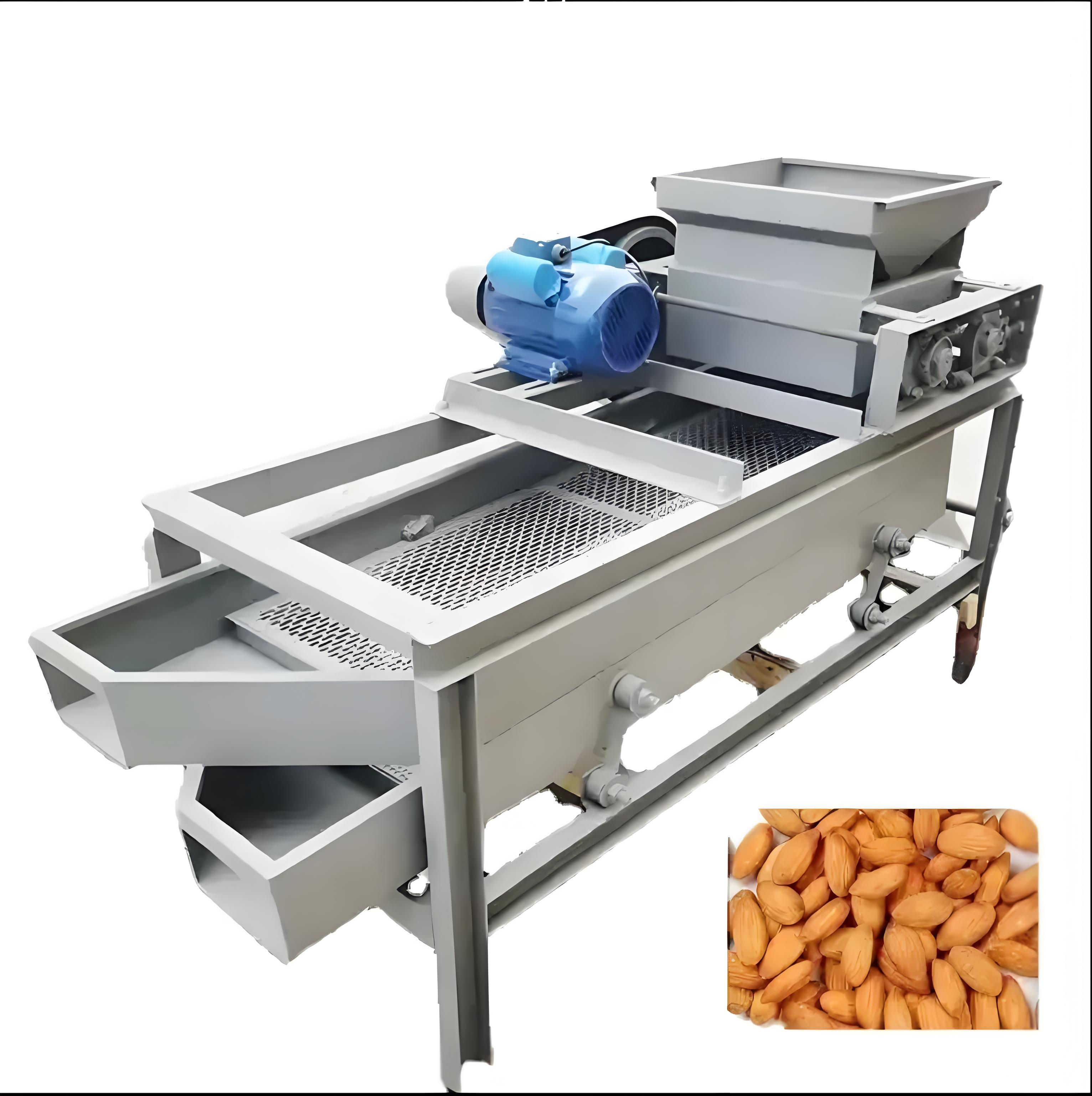 Dried fruit peeling equipment